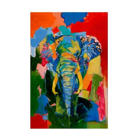 Trademark Fine Art Yuval Wolfson 'Bull Elephant' Canvas Art, 30x47 MA01111-C3047GG